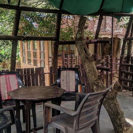 Jungle Jive Tree House Munnar Bed & Breakfast Exterior foto