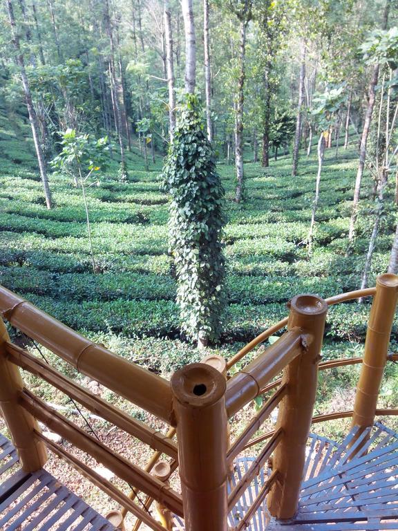 Jungle Jive Tree House Munnar Bed & Breakfast Cameră foto