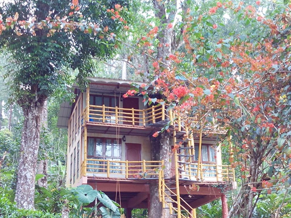 Jungle Jive Tree House Munnar Bed & Breakfast Exterior foto