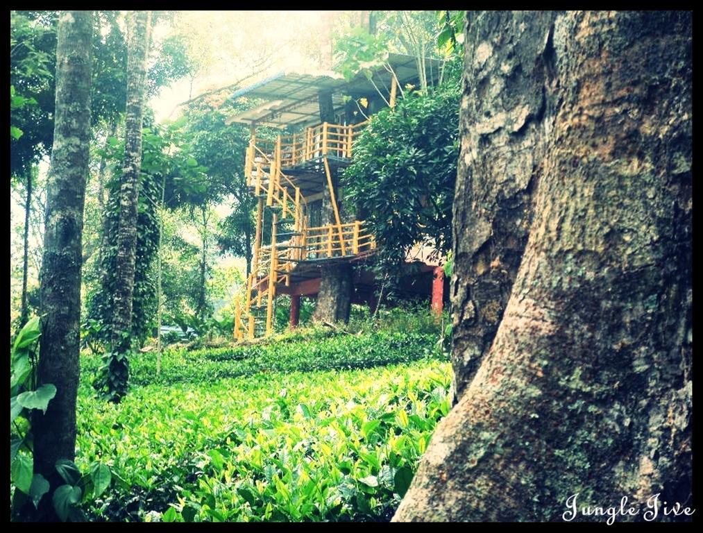Jungle Jive Tree House Munnar Bed & Breakfast Exterior foto