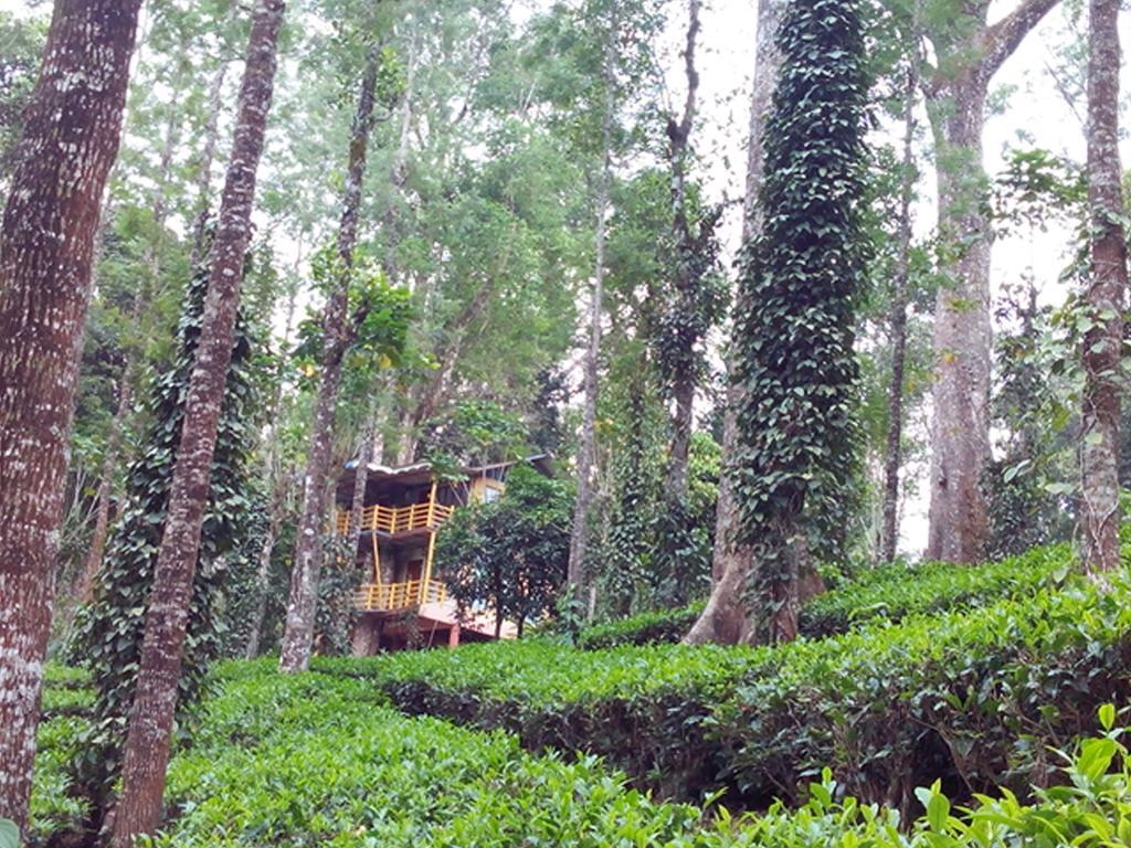 Jungle Jive Tree House Munnar Bed & Breakfast Exterior foto